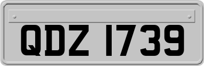 QDZ1739