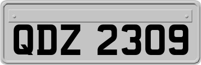 QDZ2309