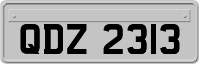 QDZ2313