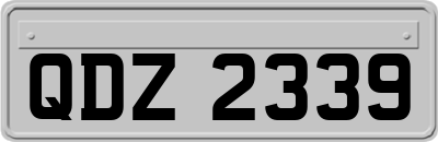 QDZ2339