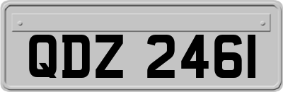 QDZ2461