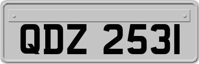 QDZ2531