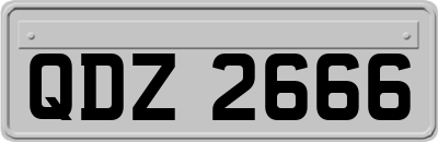 QDZ2666