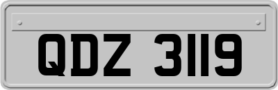 QDZ3119