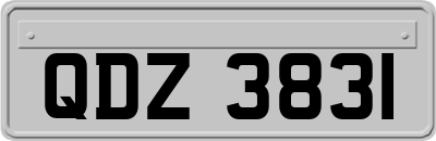 QDZ3831