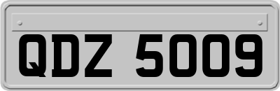 QDZ5009
