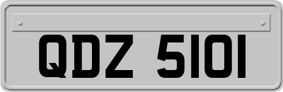 QDZ5101