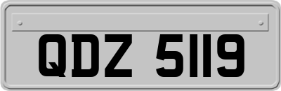 QDZ5119