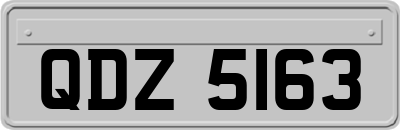 QDZ5163