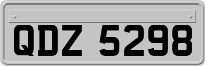 QDZ5298