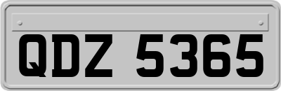 QDZ5365
