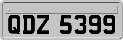 QDZ5399