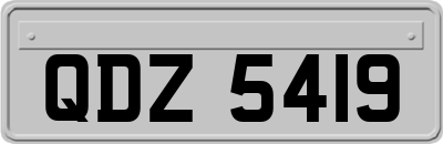 QDZ5419