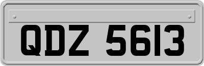 QDZ5613