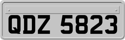 QDZ5823