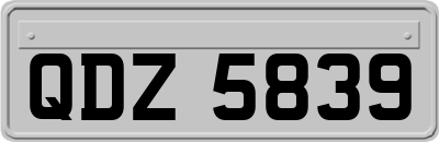 QDZ5839