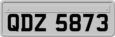 QDZ5873