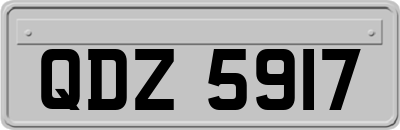 QDZ5917