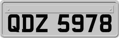 QDZ5978