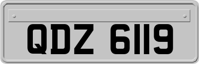QDZ6119