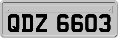 QDZ6603