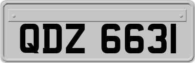QDZ6631