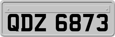 QDZ6873