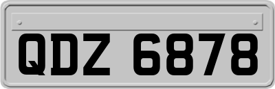 QDZ6878