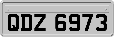 QDZ6973