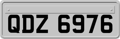 QDZ6976