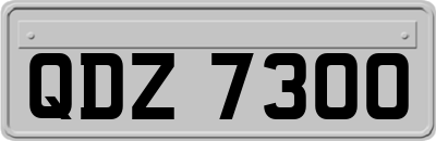 QDZ7300