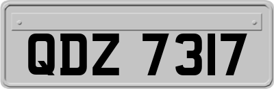 QDZ7317