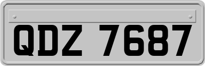QDZ7687