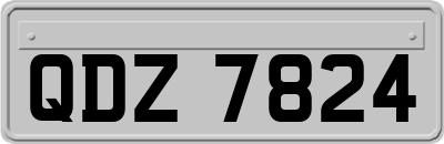 QDZ7824
