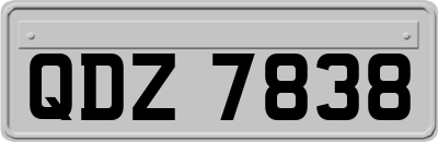 QDZ7838