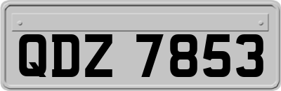 QDZ7853