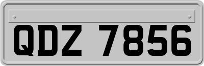 QDZ7856