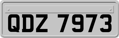 QDZ7973