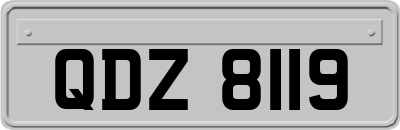 QDZ8119
