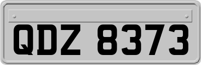 QDZ8373