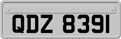 QDZ8391