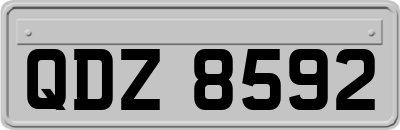 QDZ8592