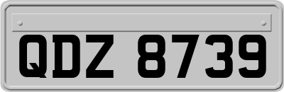 QDZ8739