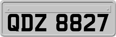 QDZ8827