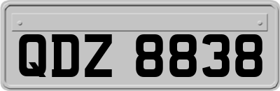 QDZ8838