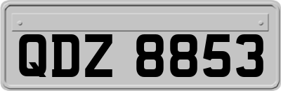 QDZ8853