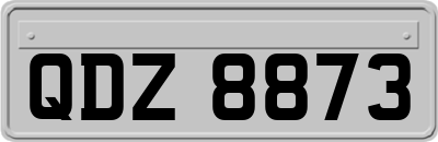 QDZ8873