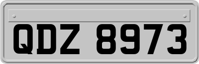 QDZ8973
