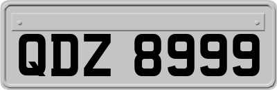 QDZ8999