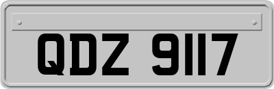 QDZ9117